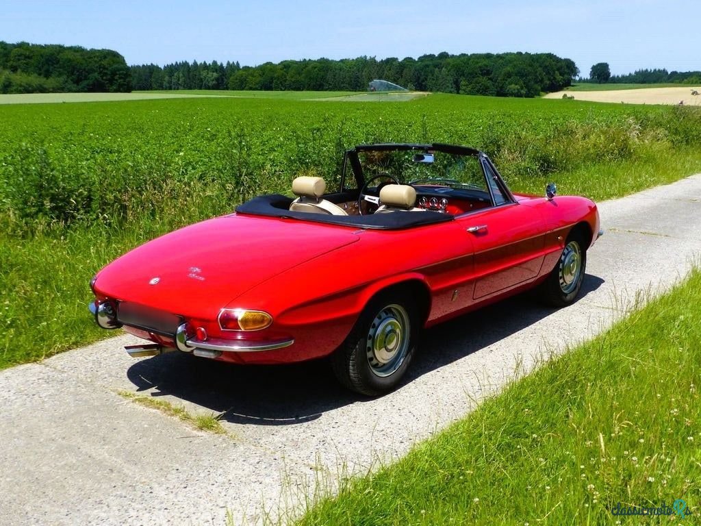 1966' Alfa Romeo Spider (Duetto) photo #6