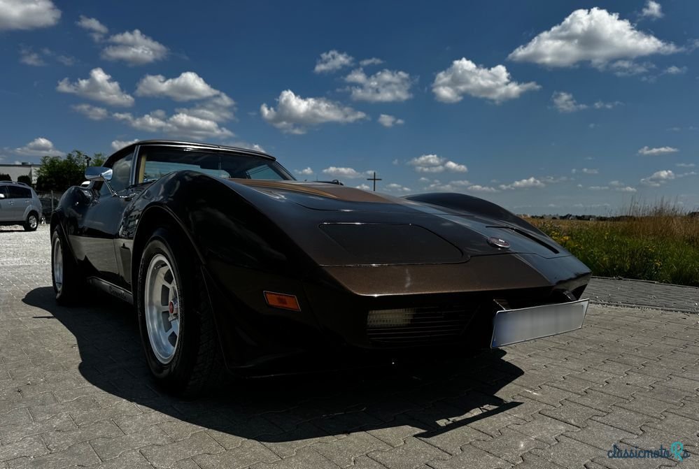 1976' Chevrolet Corvette photo #6