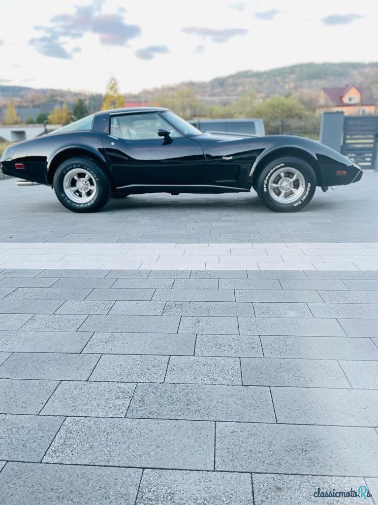 1979' Chevrolet Corvette photo #2