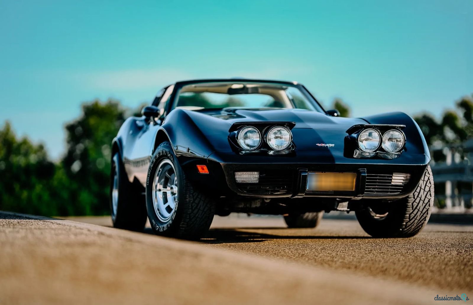 1979' Chevrolet Corvette photo #6