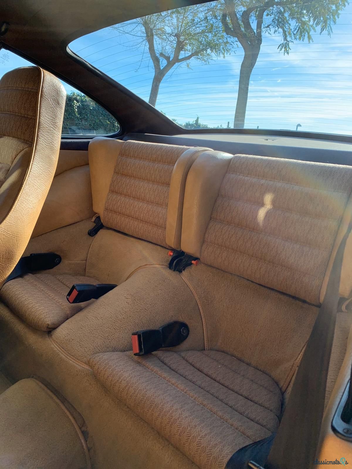 1981' Porsche 911 photo #7