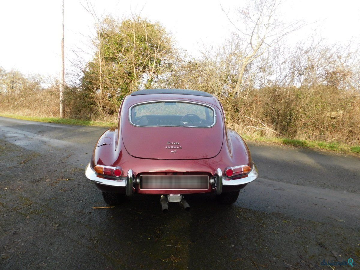 1966' Jaguar E-Type photo #4