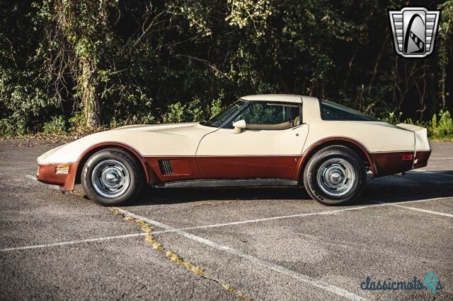 1981' Chevrolet Corvette photo #3