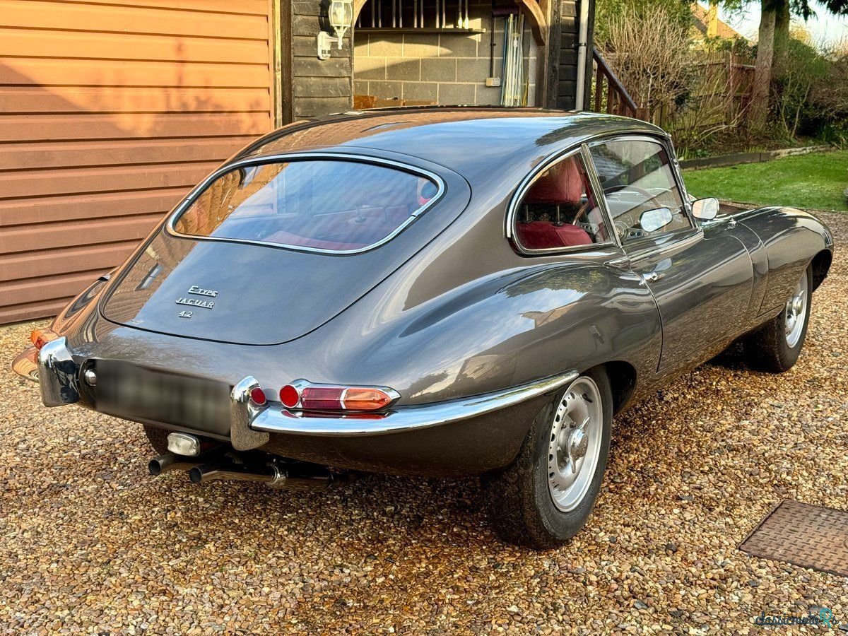 1967' Jaguar E-Type photo #3