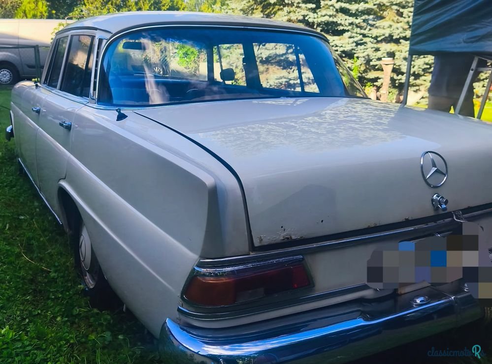 1968' Mercedes-Benz W110 photo #6