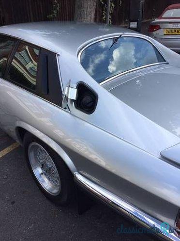 1984' Jaguar XJS He V12 photo #3