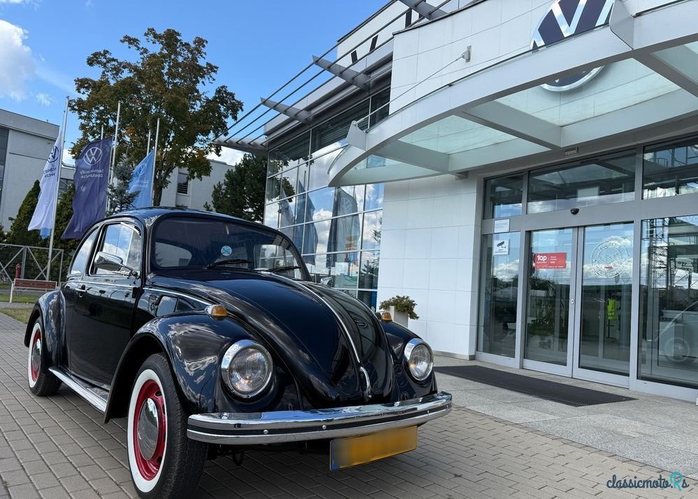 1966' Volkswagen Garbus photo #6