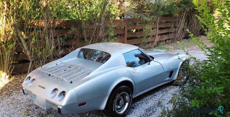 1976' Chevrolet Corvette photo #6