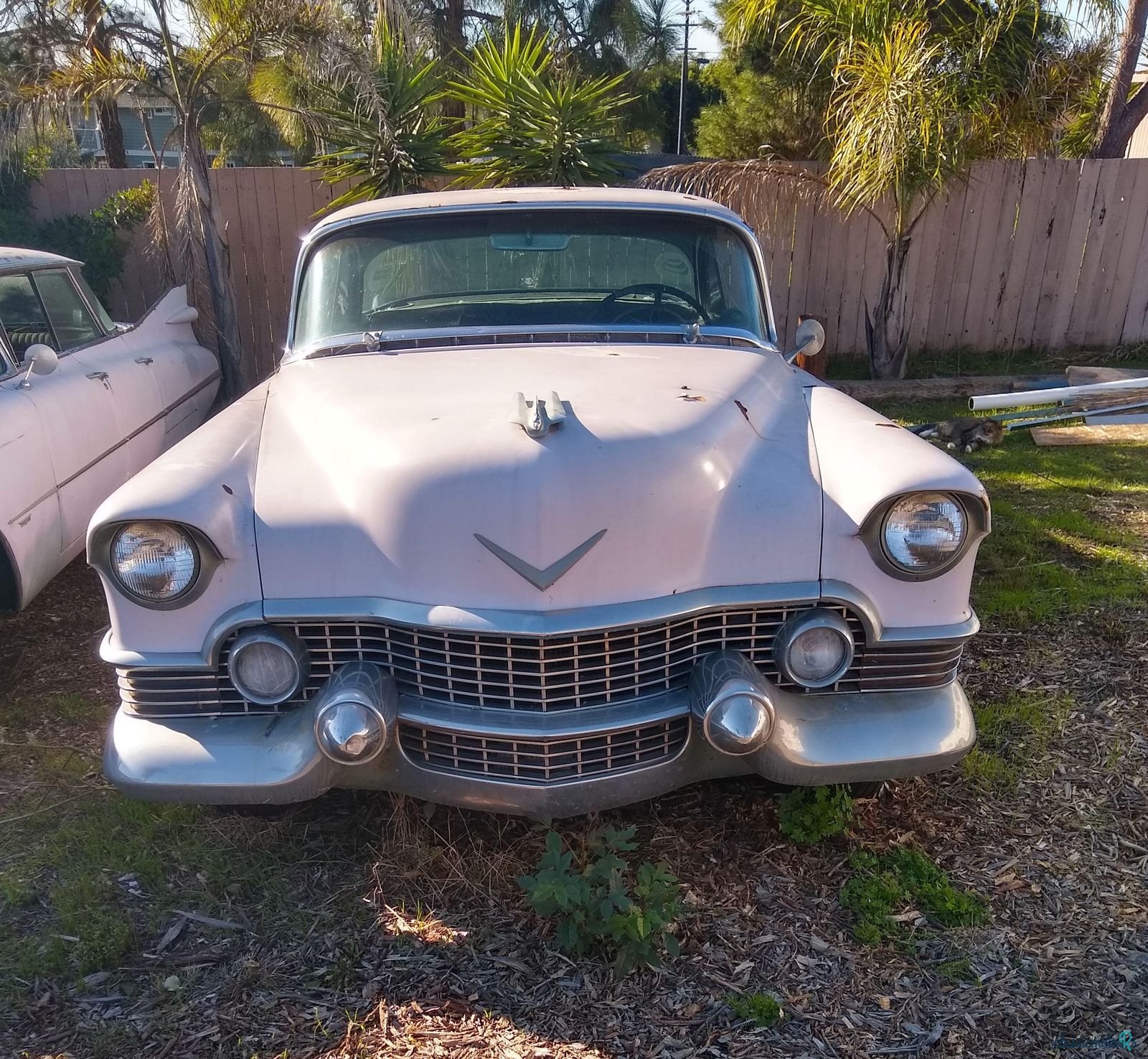 1954' Cadillac Series 62 photo #1