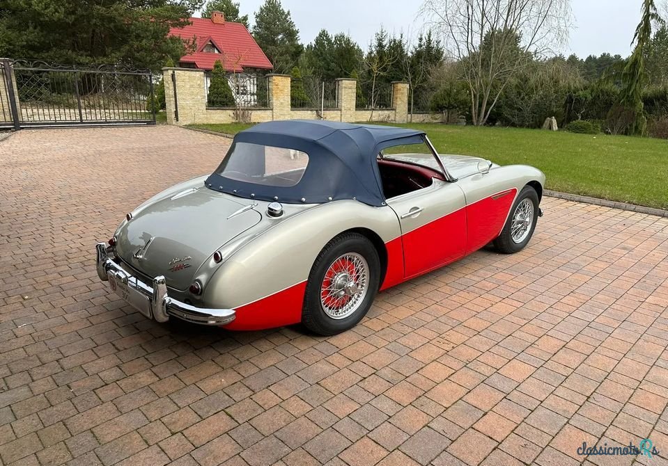 1960' Austin-Healey 3000 photo #6