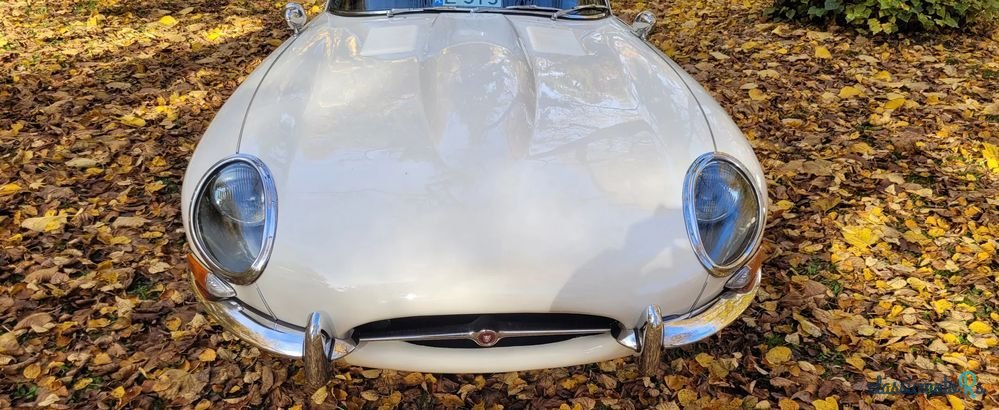 1965' Jaguar E-Type photo #3