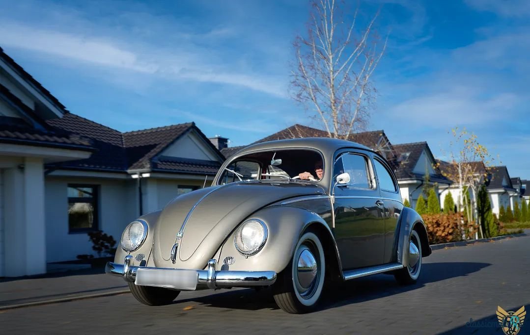 1956' Volkswagen Garbus photo #2