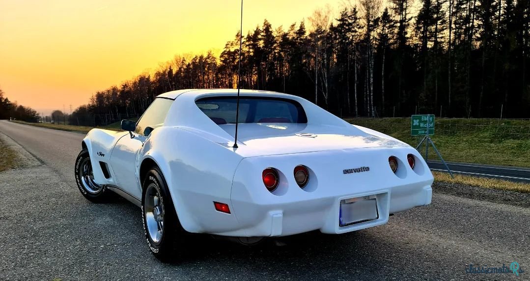 1975' Chevrolet Corvette photo #5