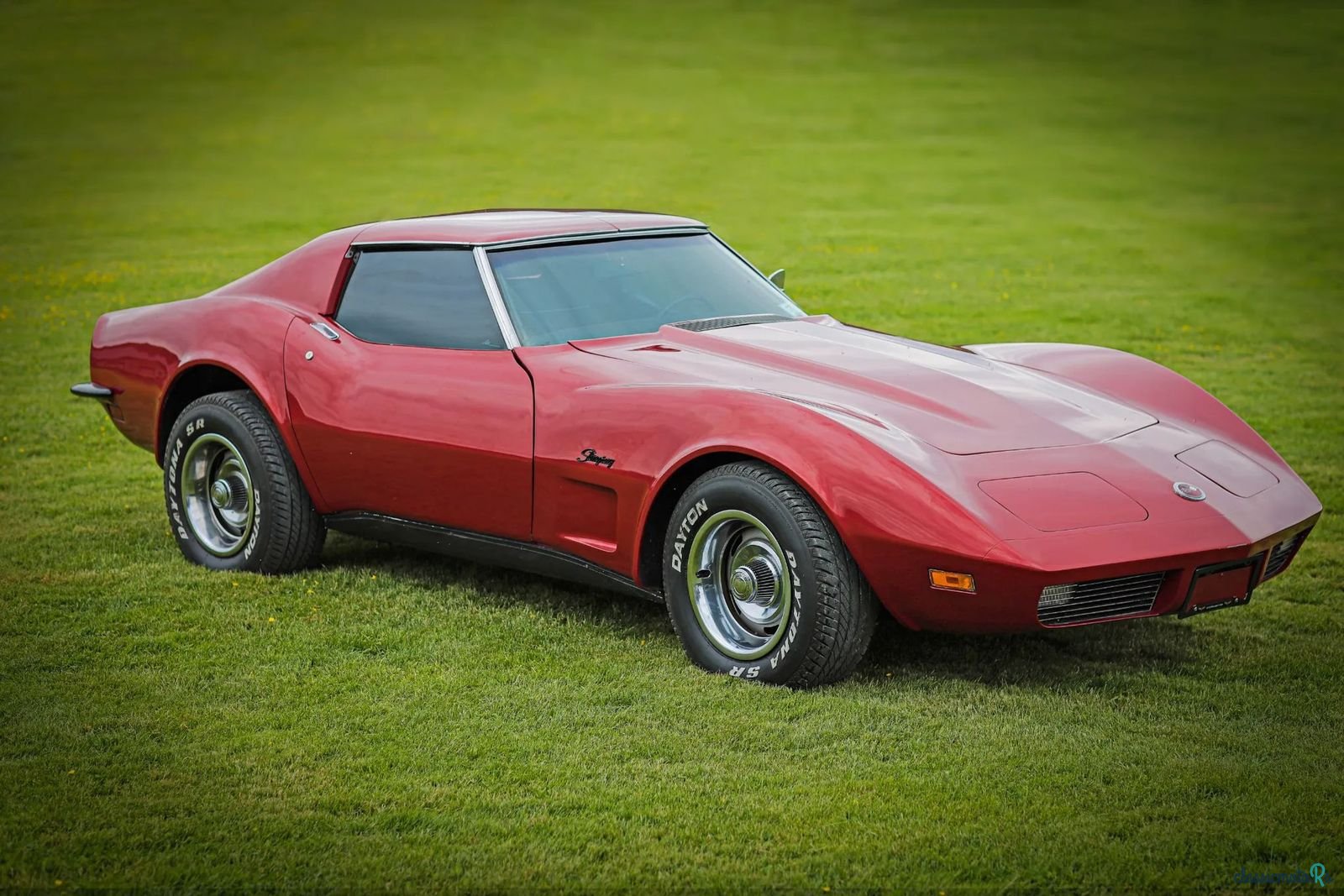 1973' Chevrolet Corvette photo #1