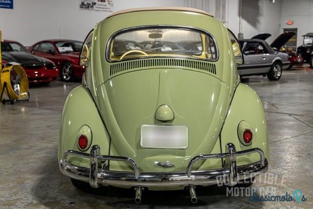 1959' Volkswagen Beetle photo #6