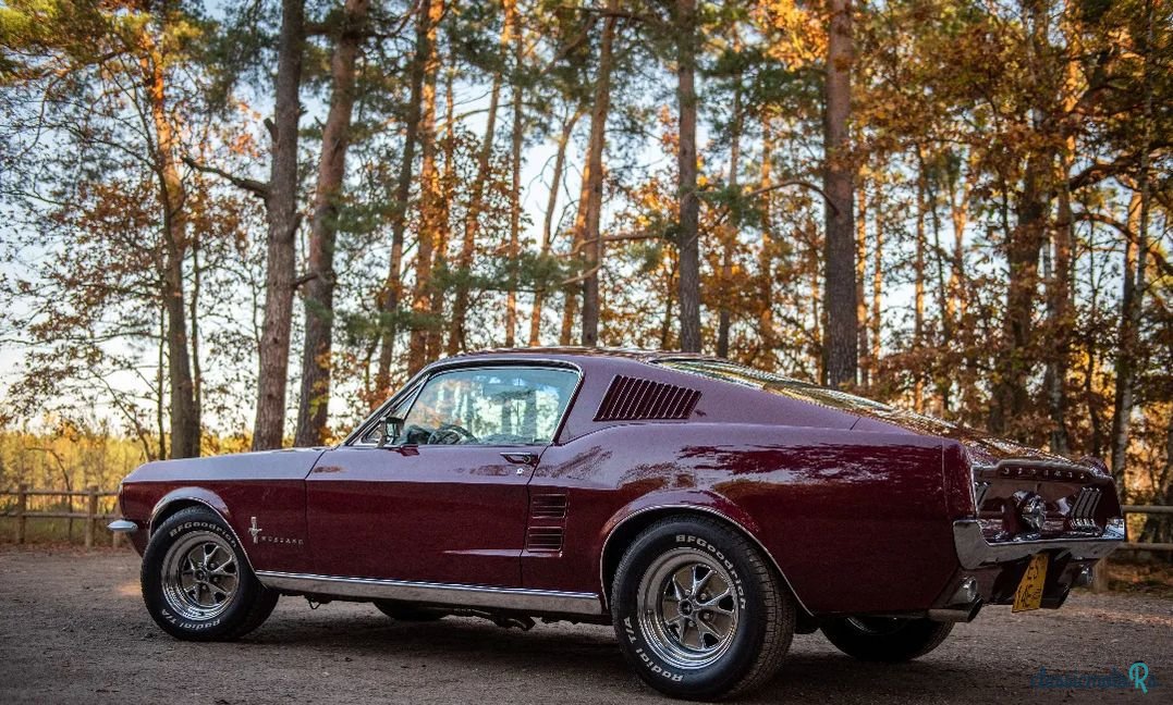 1967' Ford Mustang photo #4