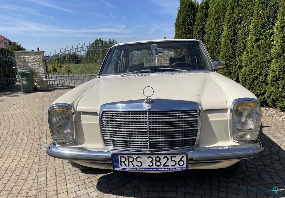 1976' Mercedes-Benz W115 photo #2