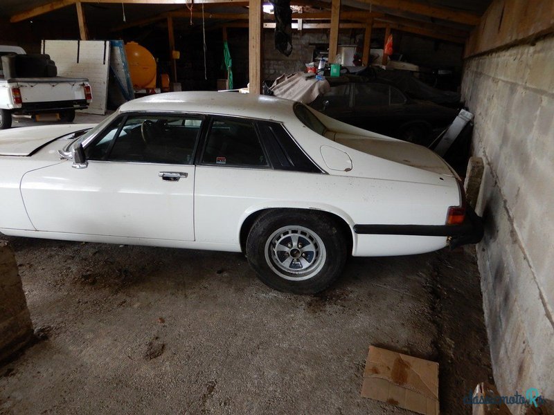 1978' Jaguar XJS photo #4