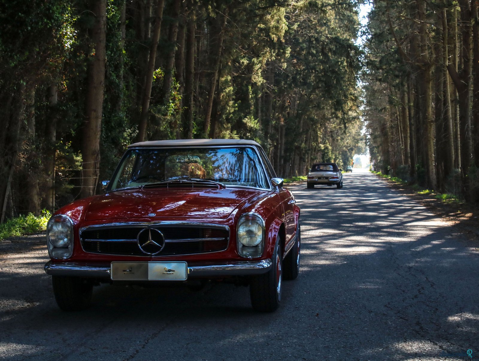 1967' Mercedes-Benz 250 photo #2