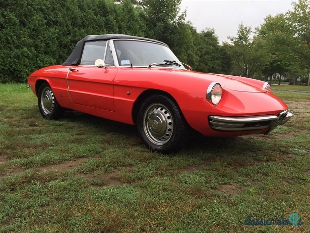 1967' Alfa Romeo Spider 1600 photo #1