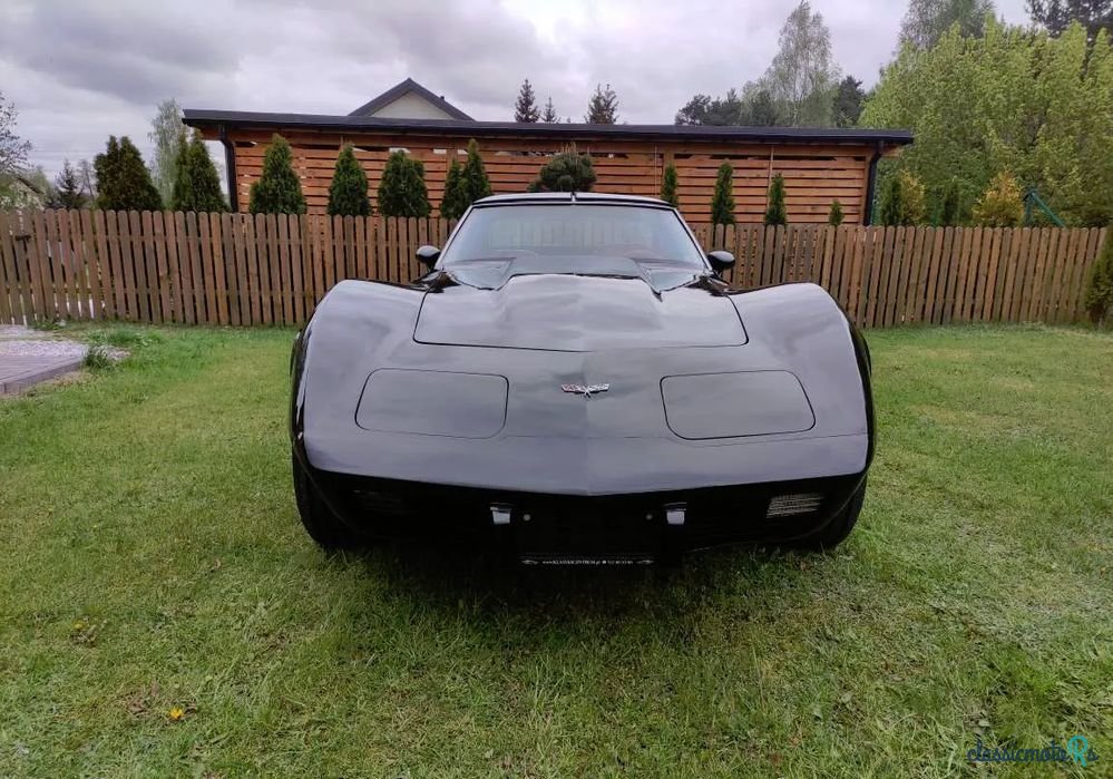 1977' Chevrolet Corvette photo #6