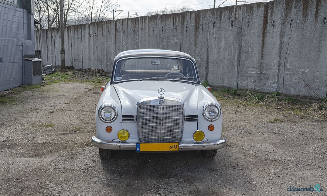 1959' Mercedes-Benz Ponton photo #2