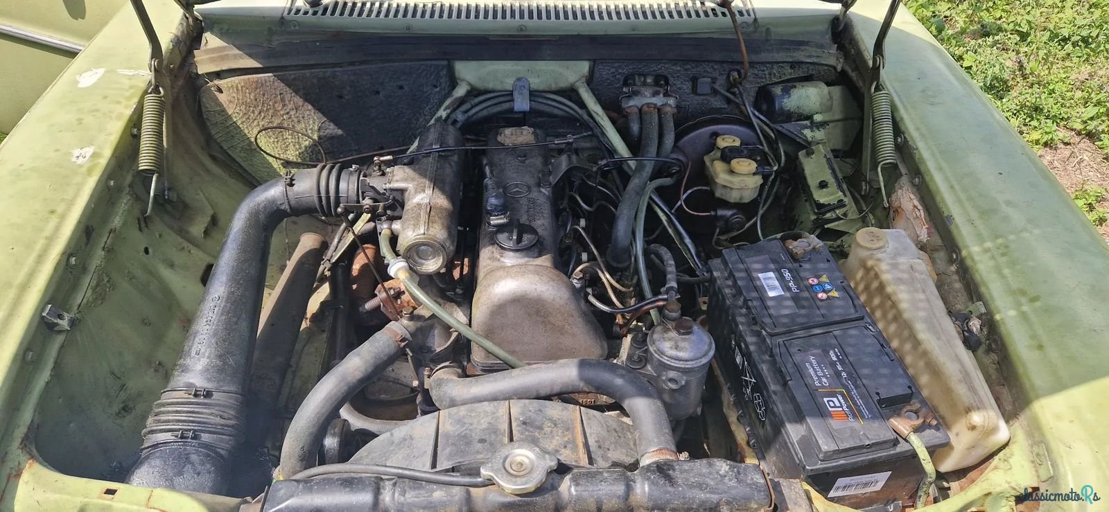 1975' Mercedes-Benz photo #3