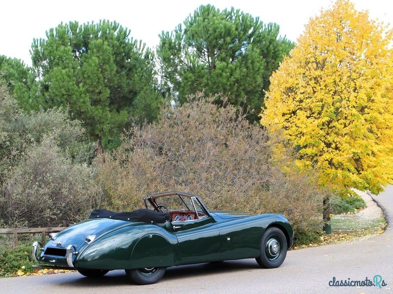 1953' Jaguar Xk120 photo #2