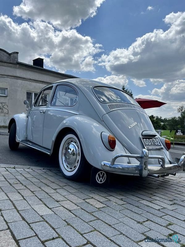 1966' Volkswagen Garbus photo #1