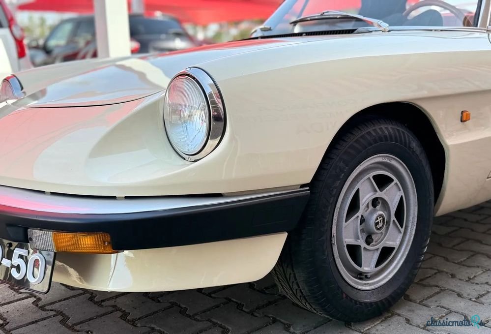1983' Alfa Romeo Spider photo #6