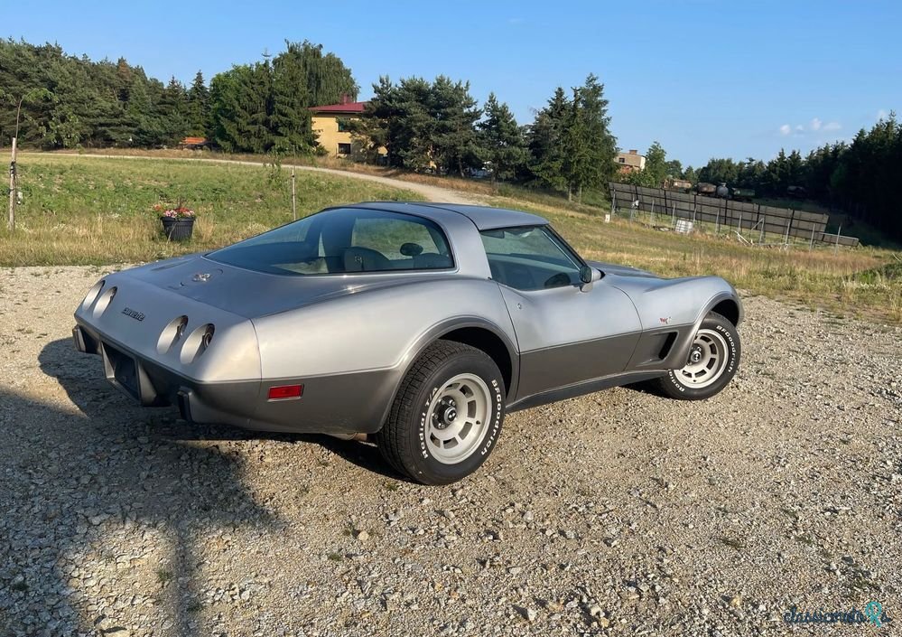1978' Chevrolet Corvette photo #3