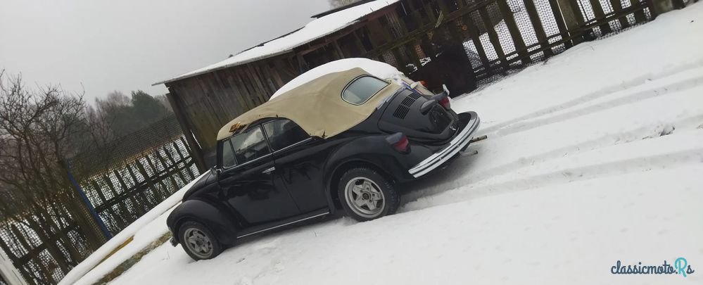 1973' Volkswagen Garbus photo #4