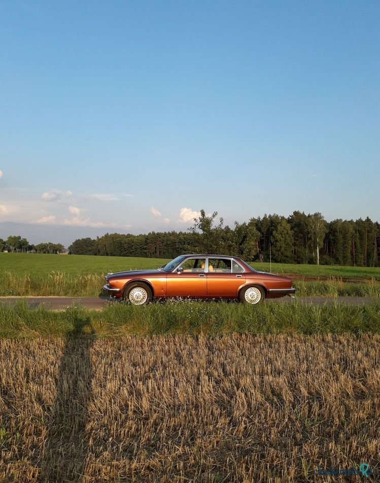 1980' Jaguar XJ photo #4