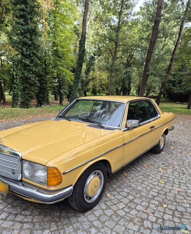 1977' Mercedes-Benz W123 photo #2