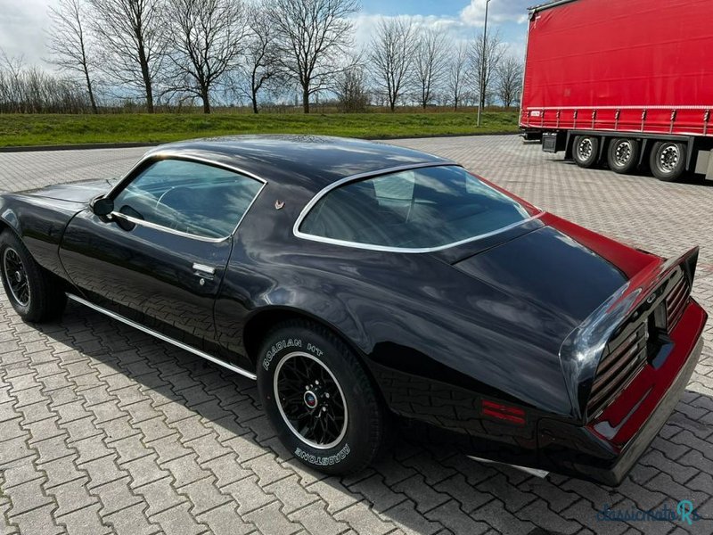 1978' Pontiac Firebird photo #4