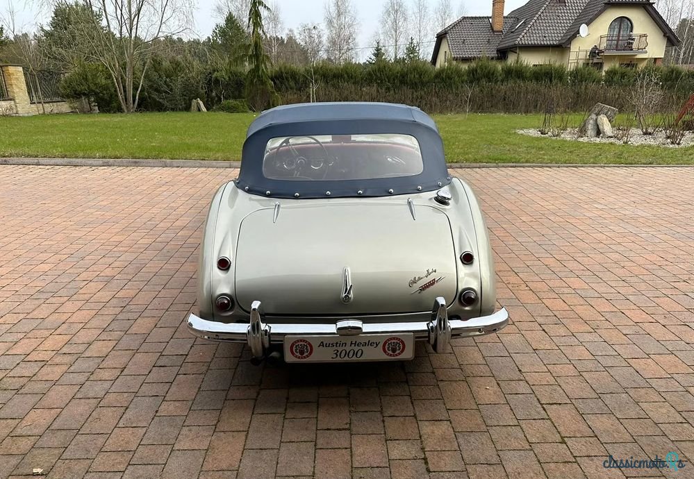 1960' Austin Healey photo #6