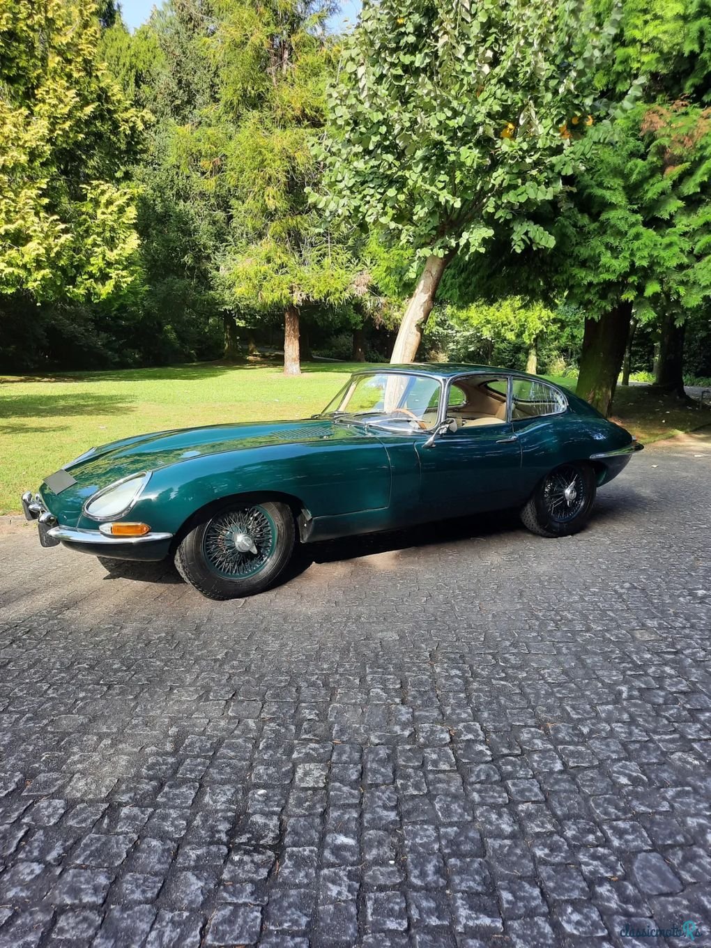 1964' Jaguar E-Type photo #4