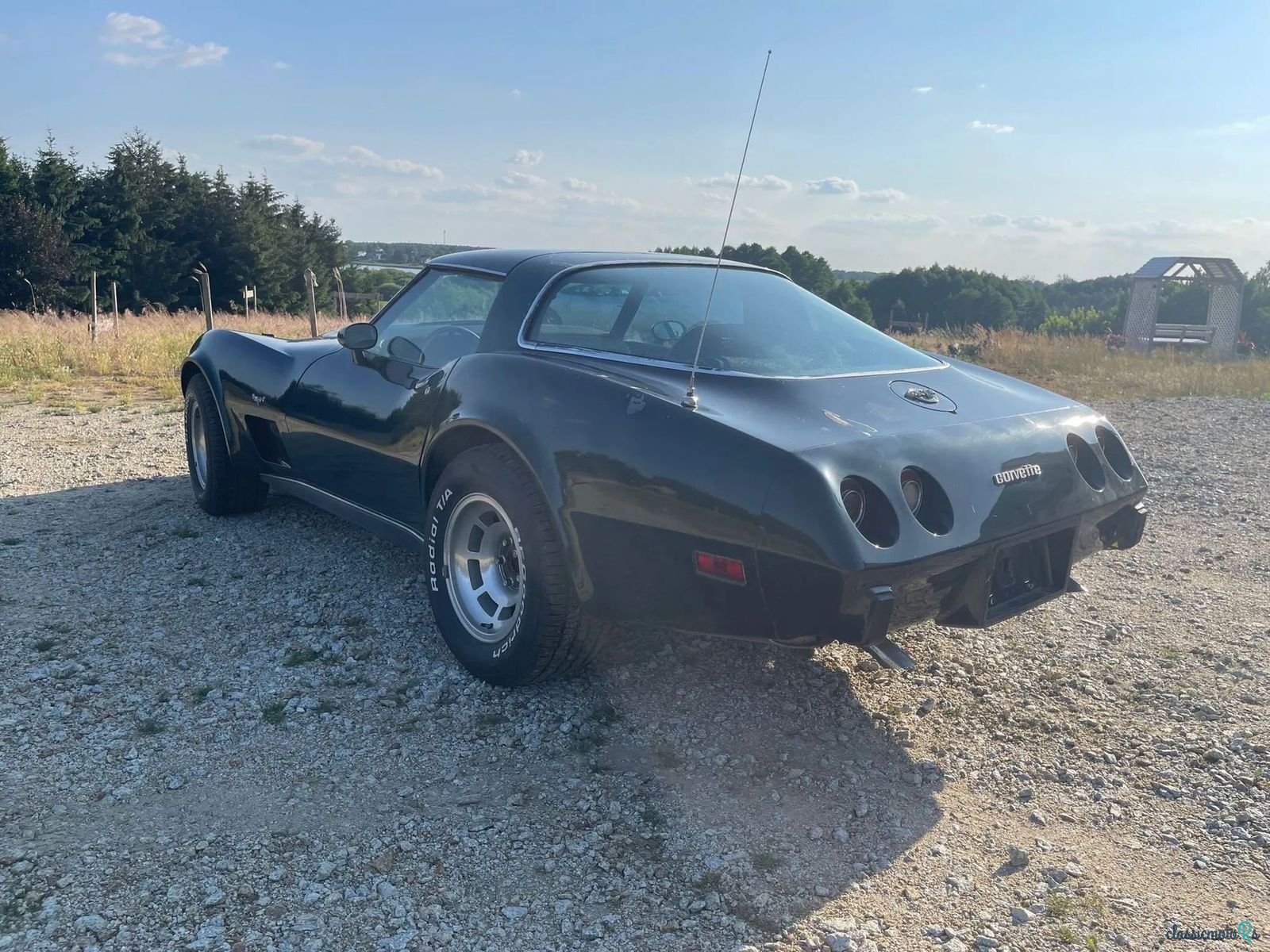 1978' Chevrolet Corvette photo #1