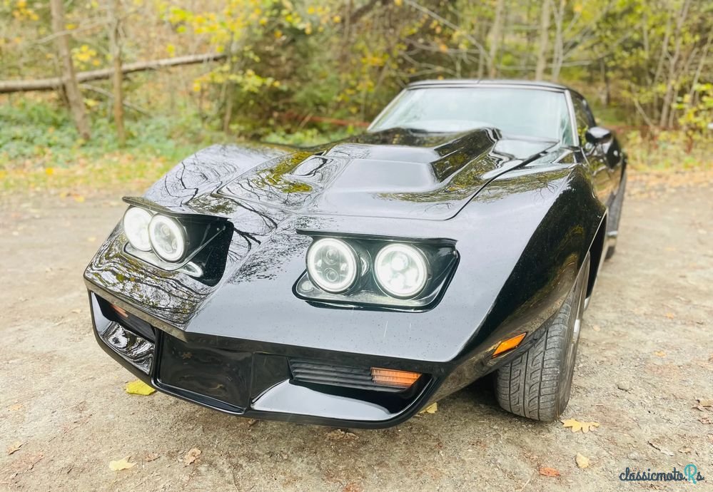 1977' Chevrolet Corvette photo #1