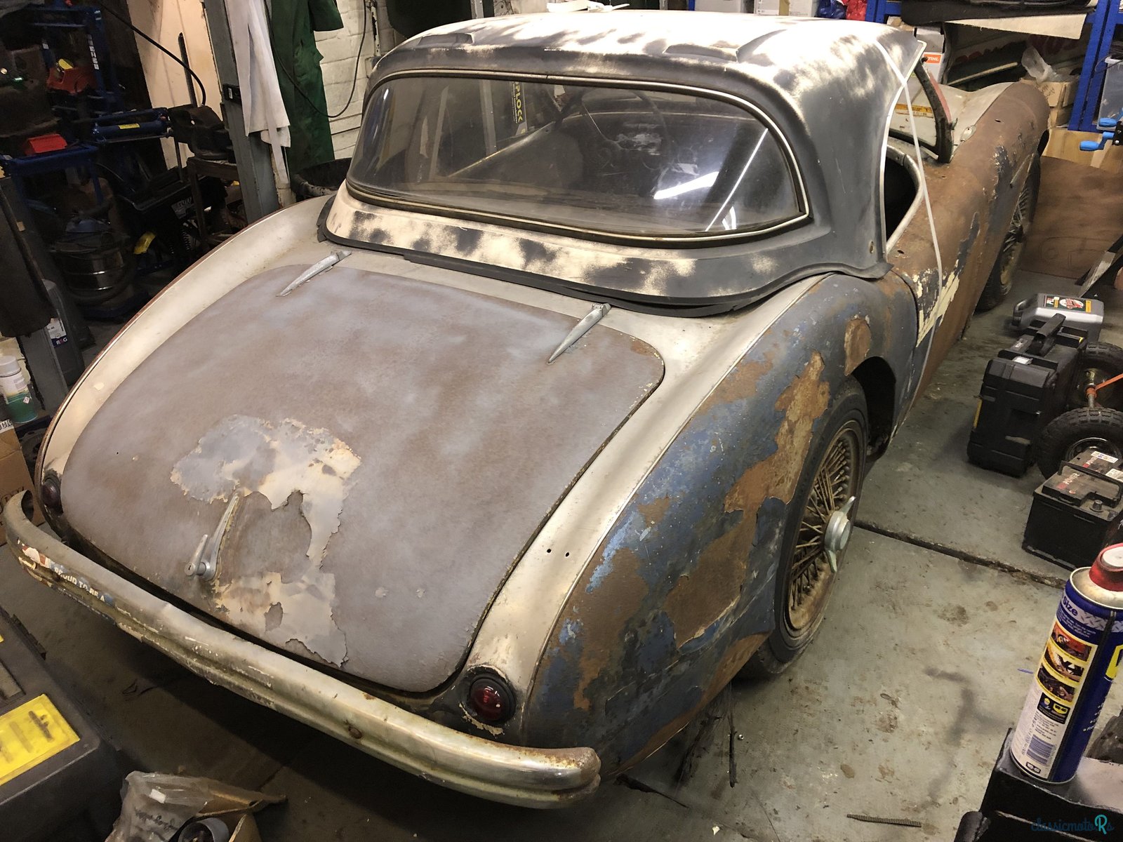 1956' Austin-Healey 100-4 photo #2