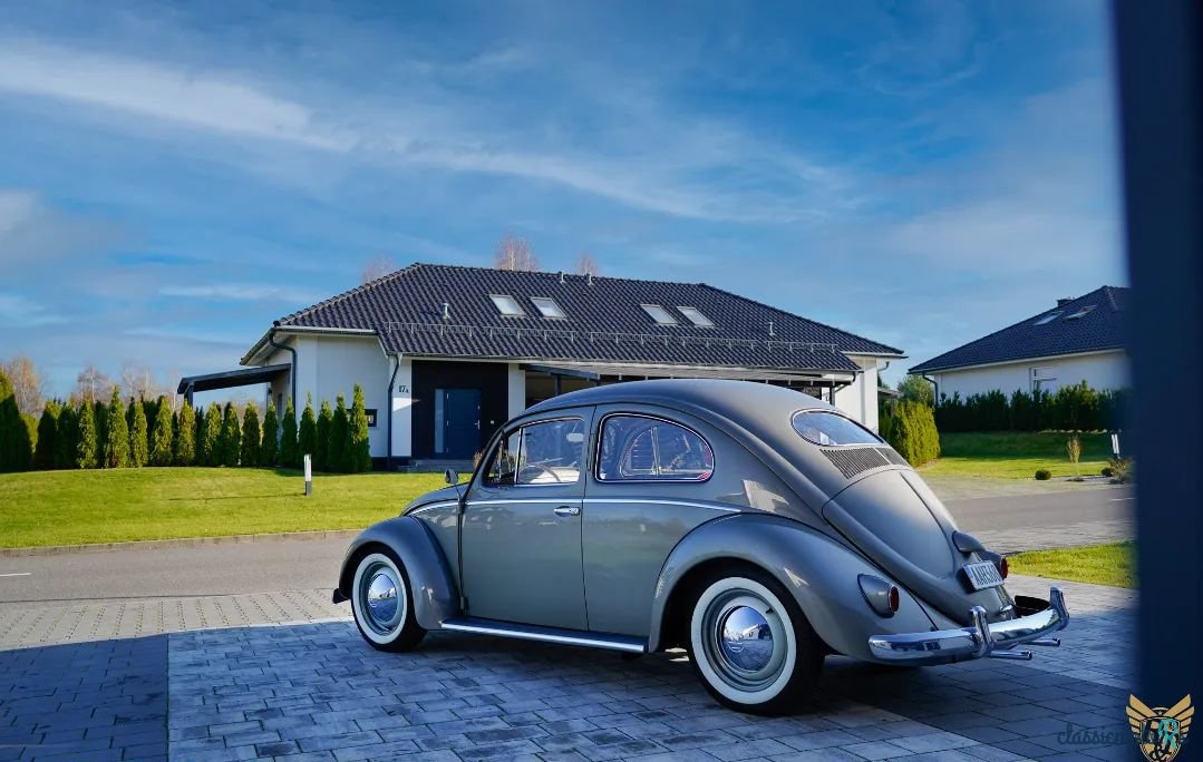 1956' Volkswagen Garbus photo #3