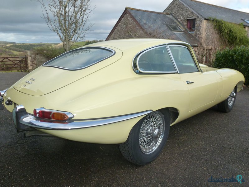 1967' Jaguar E-Type photo #5