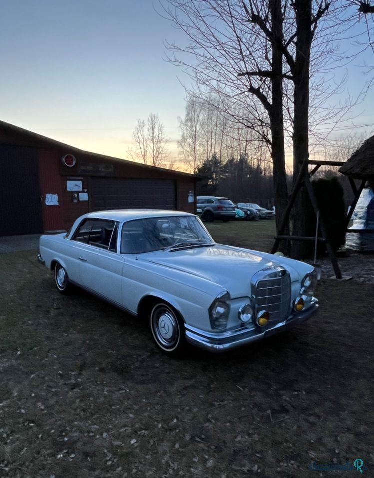 1965' Mercedes-Benz 220SE photo #6