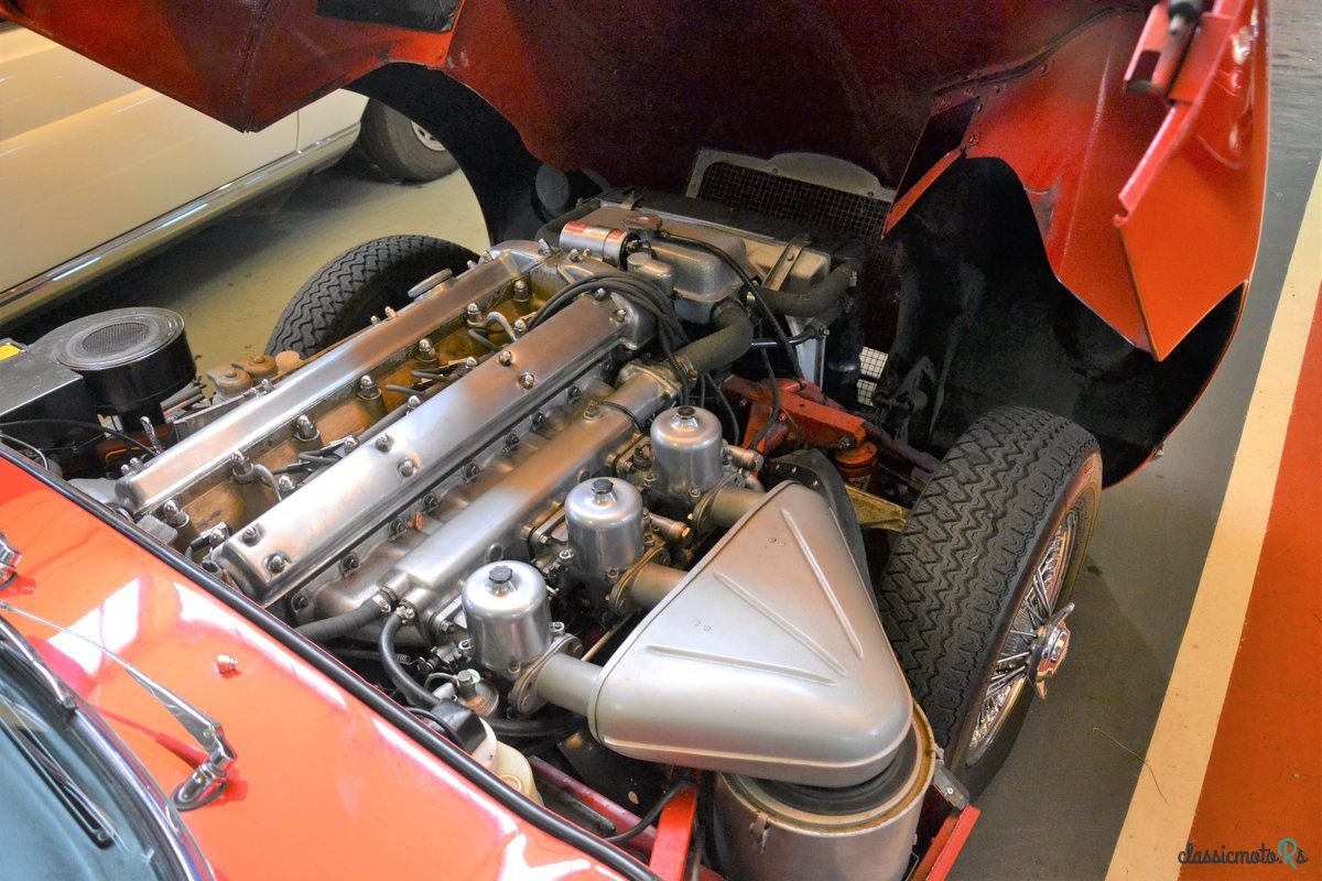 1966' Jaguar E-Type photo #6