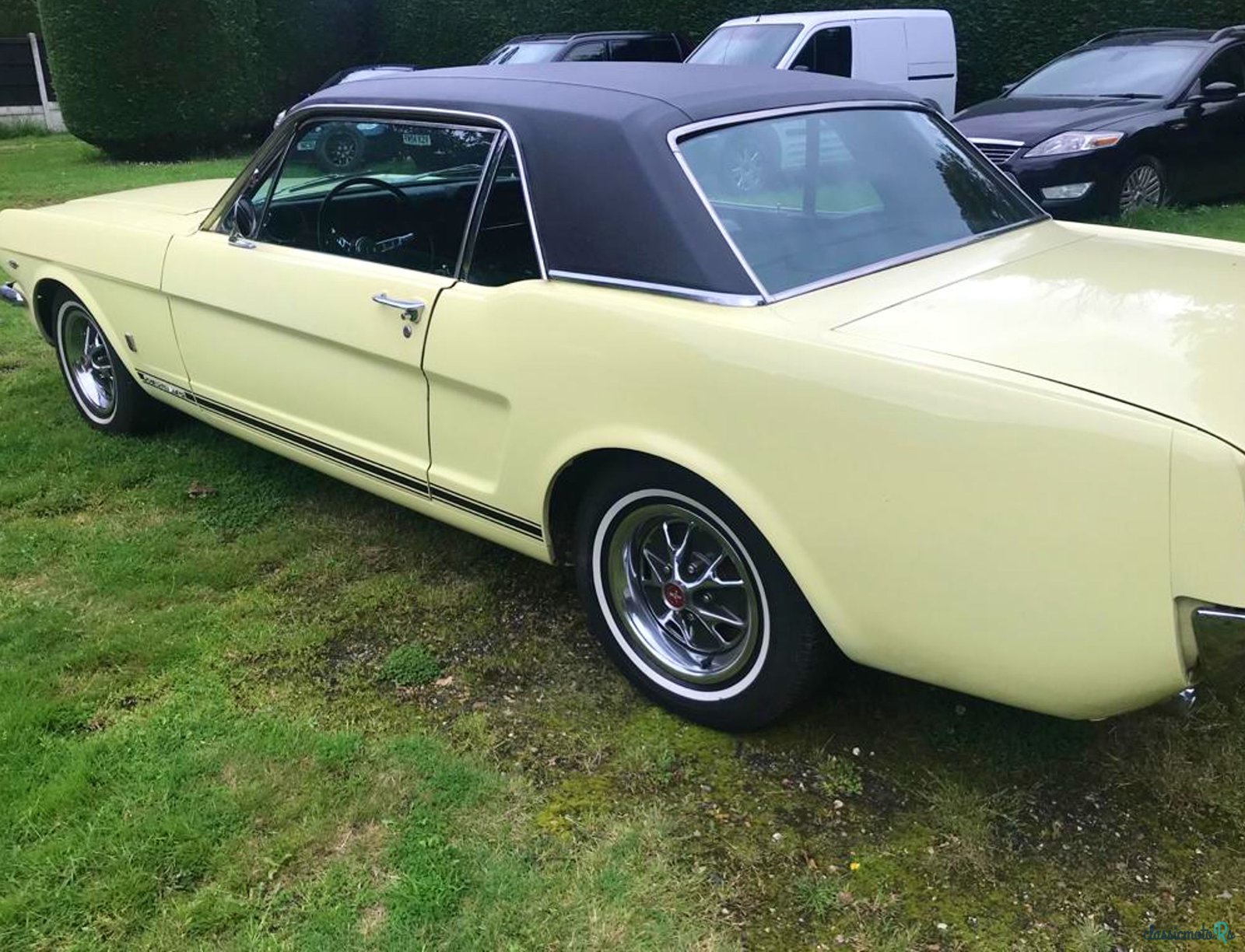 1966' Ford Mustang photo #4