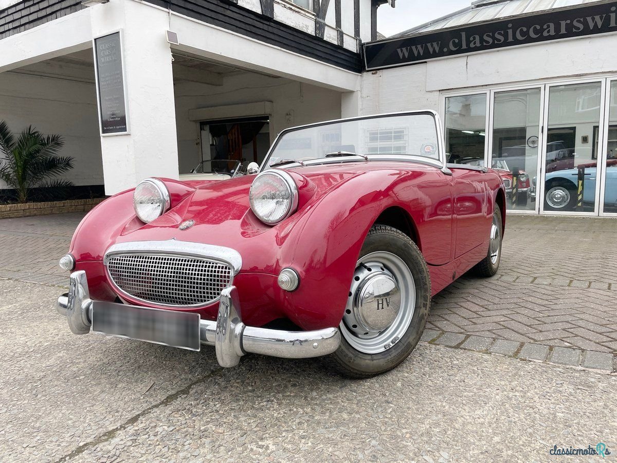 1959' Austin-Healey Sprite photo #1