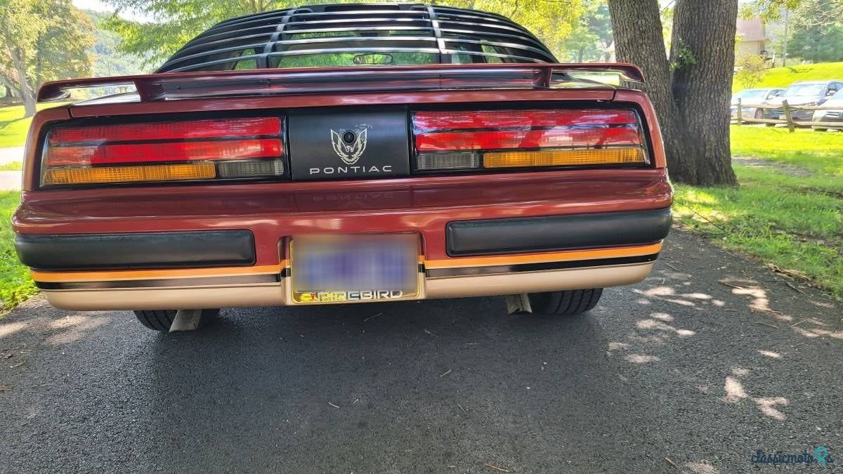 1986' Pontiac Firebird photo #3