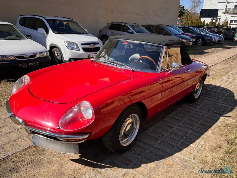 1969' Alfa Romeo Spider photo #3