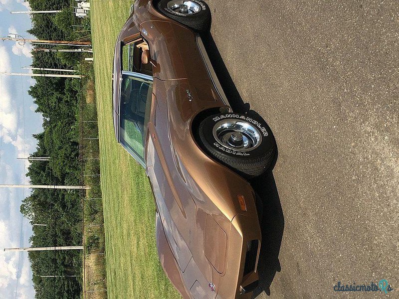 1975' Chevrolet Corvette photo #3