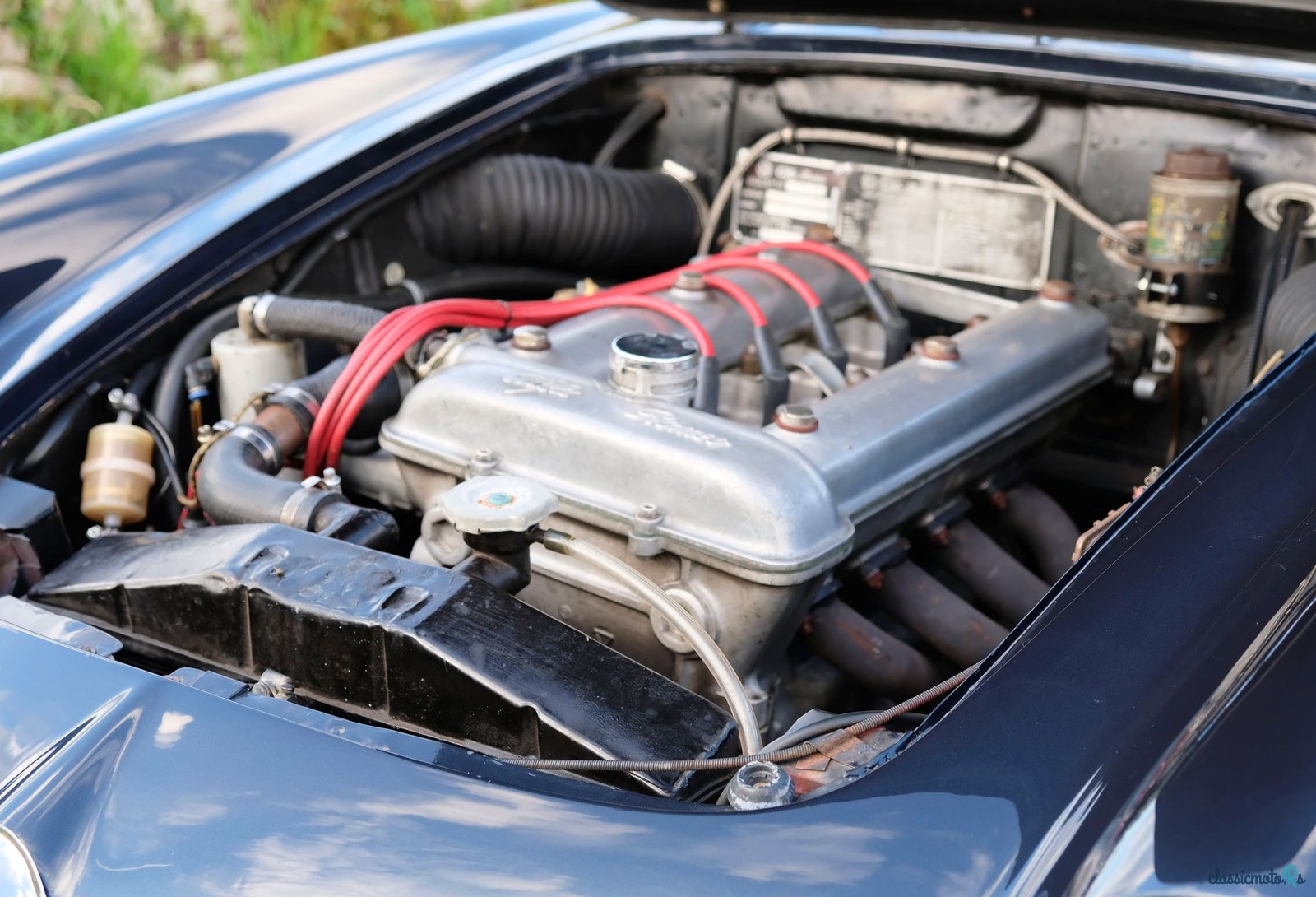 1959' Alfa Romeo Giulietta photo #3